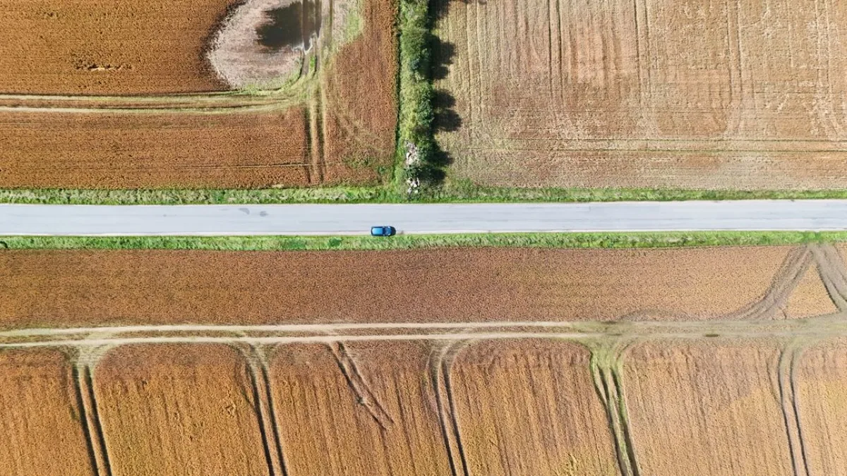 Ceylanpınar'da otomobil kazası: 1 ölü, 4 yaralı